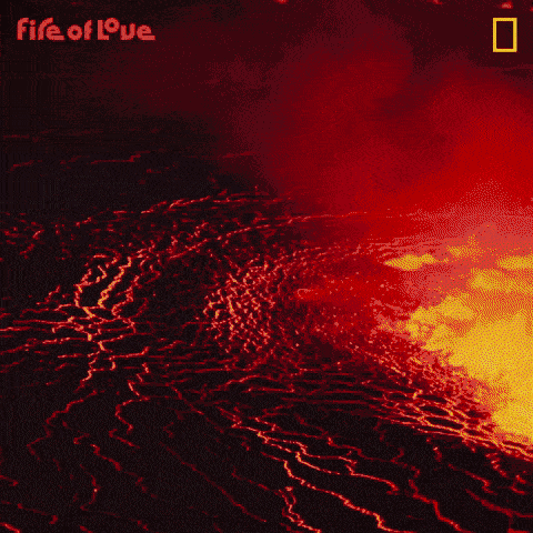 Oh my gosh. Did that really happen?